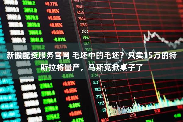 新股配资服务官网 毛坯中的毛坯？只卖15万的特斯拉将量产，马斯克掀桌子了