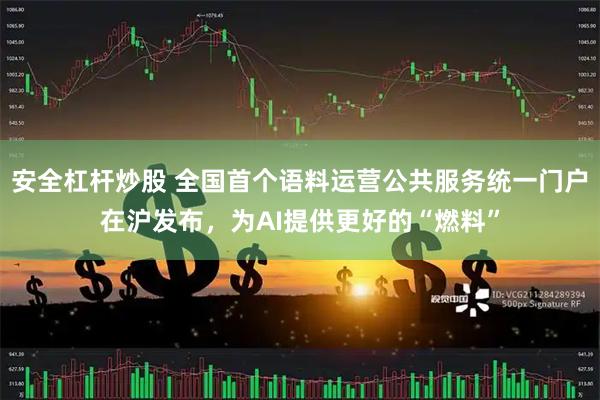 安全杠杆炒股 全国首个语料运营公共服务统一门户在沪发布，为AI提供更好的“燃料”